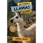 All Things Llamas For Kids: Filled With Plenty of Facts, Photos, and Fun to Learn all About Llamas - Paperback