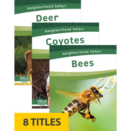 Neighborhood Safari Set 2 (Set of 8) - Paperback