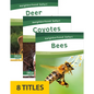 Neighborhood Safari Set 2 (Set of 8) - Paperback