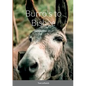 Burro's to Bisbee: Western Fiction Album - Paperback