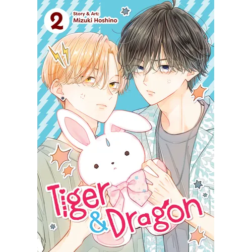Tiger and Dragon Vol. 2 - Paperback