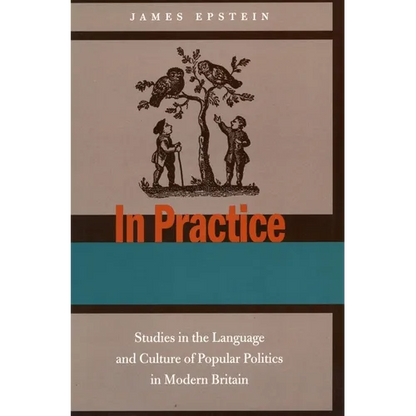In Practice: Studies in the Language and Culture of Popular Politics in Modern Britain - Paperback