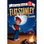 Flat Stanley Goes Camping - Hardcover