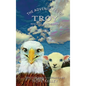 The Adventures of Troy Rescuing Lily the Lamb - Hardcover