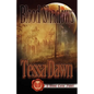Blood Shadows - Paperback