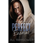 Perfect Enemies: A New Adult Mafia Romance - Hardcover