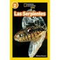 Las Serpientes = Snakes - Paperback