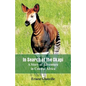 In Search of the Okapi: A Story of Adventure in Central Africa - Paperback