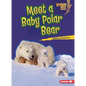 Meet a Baby Polar Bear - Paperback