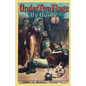 Under Two Flags: A Story of the Household and the Desert - Paperback