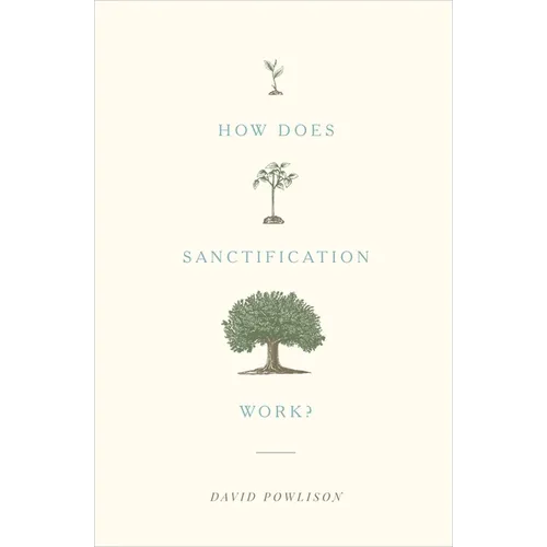 How Does Sanctification Work? - Paperback