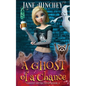 A Ghost Of A Chance: A Paranormal Ghost Detective Cozy Mystery #4 - Paperback