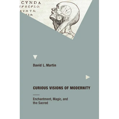 Curious Visions of Modernity: Enchantment, Magic, and the Sacred - Paperback