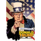 Political Power: Donald Trump: The Graphic Novel - Paperback