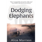 Dodging Elephants: Leaving the rat race for a bike race - 8000 miles across Africa - Paperback