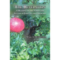 The Revelation: A Reading of the Vision and Letter of John to the Churches - Paperback
