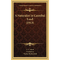 A Naturalist In Cannibal Land (1913) - Hardcover