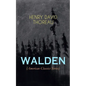 WALDEN (American Classics Series): Life in the Woods - Reflections of the Simple Living in Natural Surroundings - Paperback