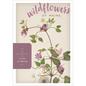 Wildflowers of Maine - Hardcover