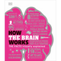 How the Brain Works: The Facts Visually Explained - Hardcover