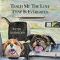 Teach Me the Love that Is Evergreen - Paperback