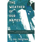 The Weather of Our Names - Paperback