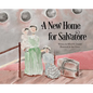 A New Home for Salvatore - Hardcover