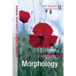 Understanding Morphology - Paperback