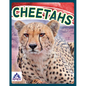 Cheetahs - Library Binding