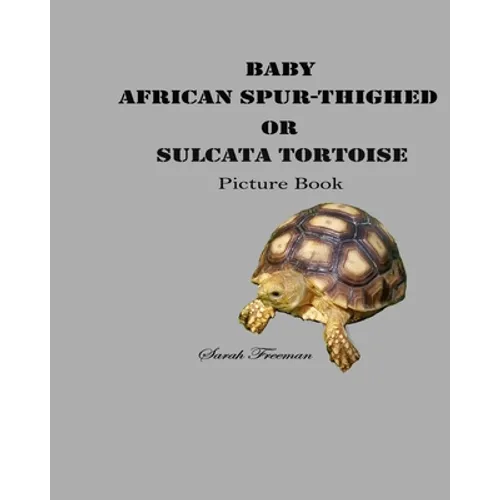 Baby African Spur-Thighed or Sulcata Tortoise Picture Book - Paperback