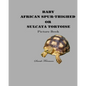 Baby African Spur-Thighed or Sulcata Tortoise Picture Book - Paperback