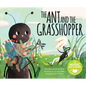 The Ant and the Grasshopper - Paperback