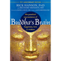 Buddha's Brain: The Practical Neuroscience of Happiness, Love, and Wisdom - Paperback