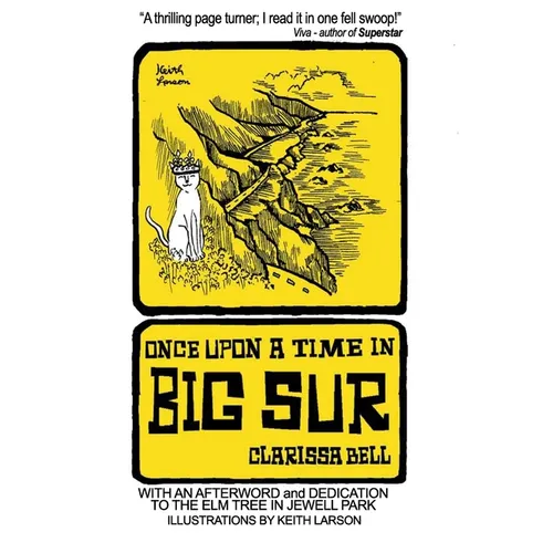 Once Upon a Time in Big Sur - Paperback