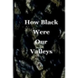 How Black Were Our Valleys: A 30th Commemoration of the 1984/85 Miners' Strike - Paperback