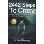 2442 Steps To Crazy - The Beginning - Paperback