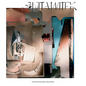 Anita Witek: Unforeseeable Occurrences - Hardcover