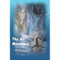 The Air Merchant - Paperback