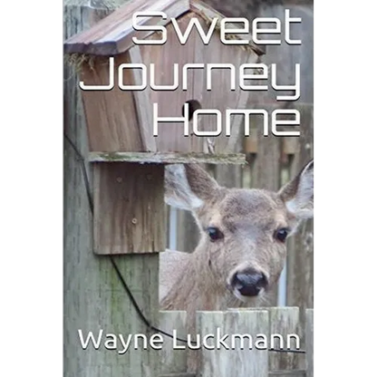 Sweet Journey Home - Paperback
