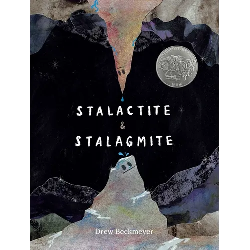 Stalactite & Stalagmite: A Big Tale from a Little Cave - Hardcover