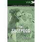 The Sheepdog - A Complete Anthology of the Breeds - Paperback