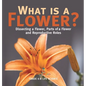 What is a Flower? Dissecting a Flower, Parts of a Flower and Reproductive Roles Grade 6-8 Life Science - Hardcover