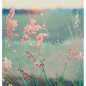 Condolence book for funeral (Hardcover): Memory book, comments book, condolence book for funeral, remembrance, celebration of life, in loving memory f - Hardcover
