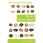 Herb and Spice Seeds: A Pictorial Field Guide - Paperback