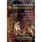 The Galilean Wonderworker: Reassessing Jesus' Reputation for Healing and Exorcism - Paperback