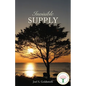 Invisible Supply - Paperback