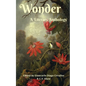 Wonder - Paperback