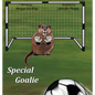 Special Goalie - Hardcover