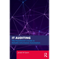 IT Auditing: The Practitioner's Guide to Reliable Information Automation - Paperback