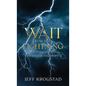 Wait for the Lightning: A fresh look at Genesis 1-12 - Hardcover